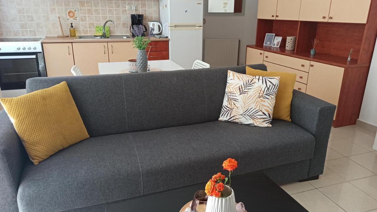 Cozy Flat Close To The Airport/Port And Center Nea Alikarnassos Buitenkant foto